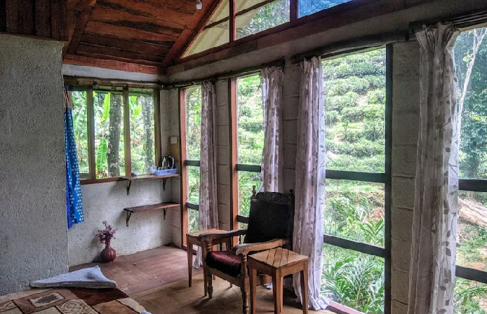 1 x Tea Garden View Tree House