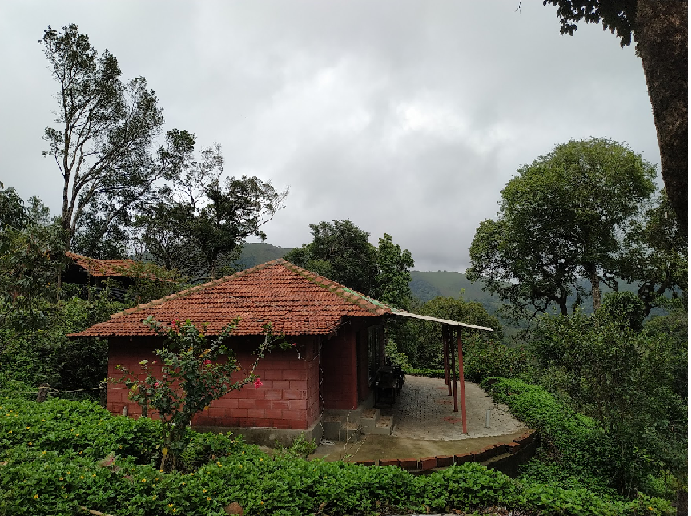 Shishilahills Jungle Stay Photos