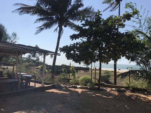 Mermaid Beach Resort Photos